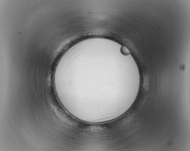 X0000111920636200908171325