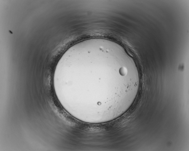 X0000111920637200908171325