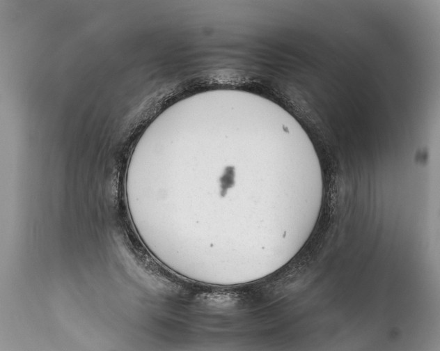 X0000111920639200908171325