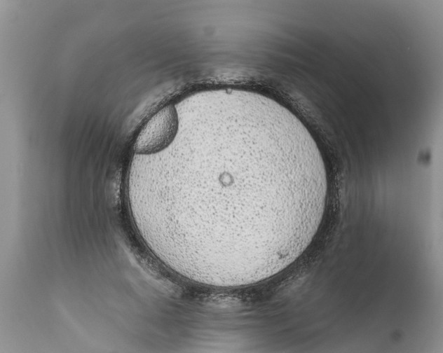 X0000111920640200908171325