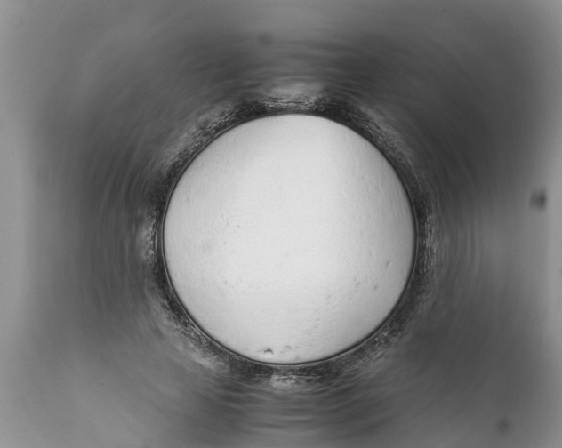 X0000111920641200908171325