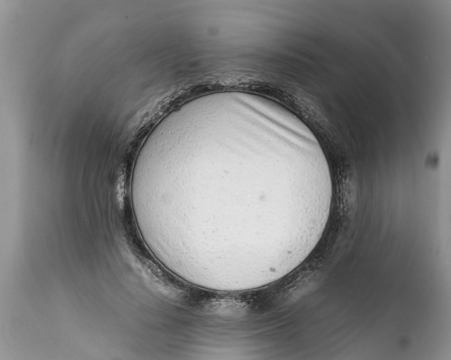 X0000111920644200908171325