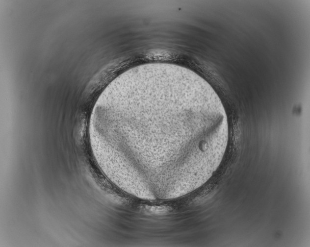 X0000111920645200908171325