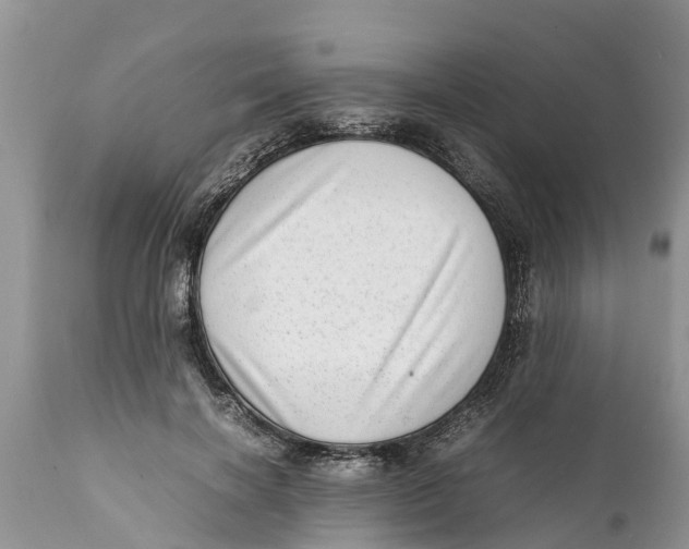 X0000111920646200908171325