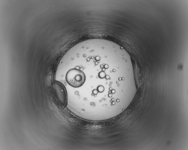 X0000111920647200908171325