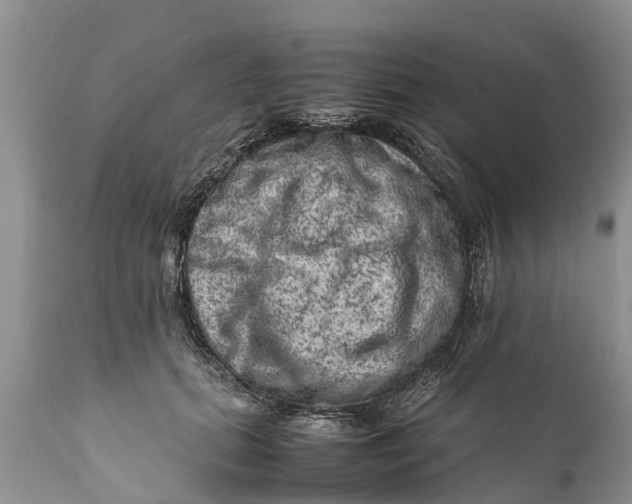 X0000111920655200908171325