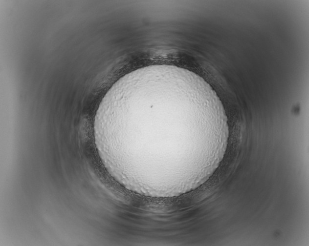 X0000111920659200908171325