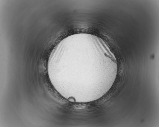 X0000111920661200908171325