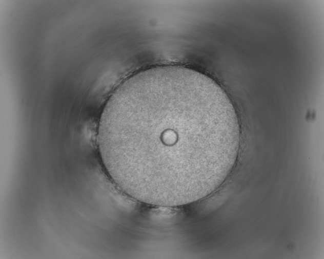 X0000111920672200908171326