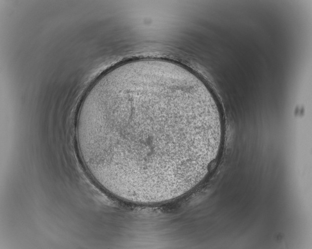 X0000111920673200908171325