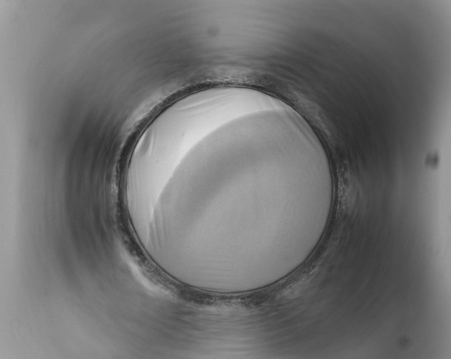 X0000111920674200908171325