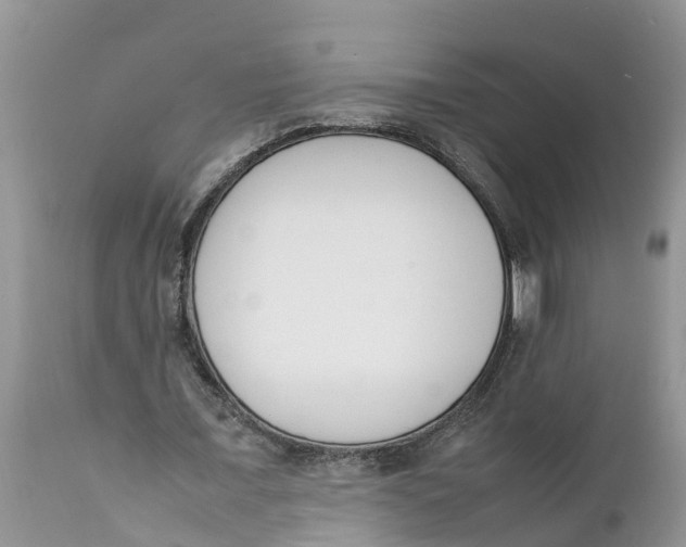 X0000111920675200908171325