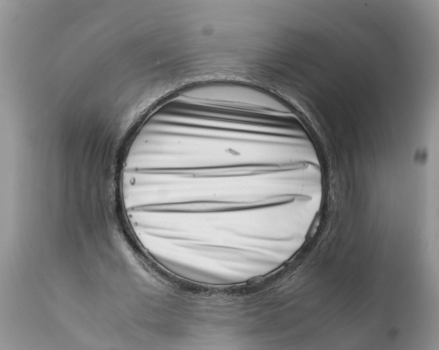 X0000111920677200908171325