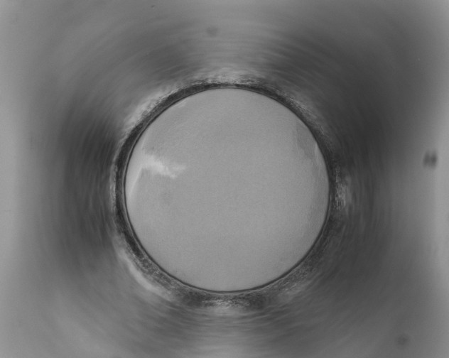 X0000111920678200908171325