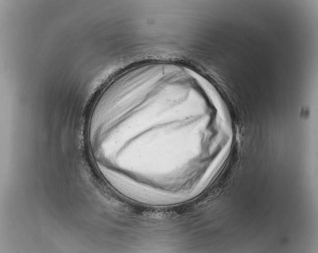 X0000111920679200908171325