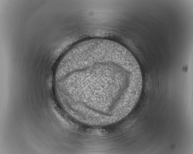 X0000111920683200908171325