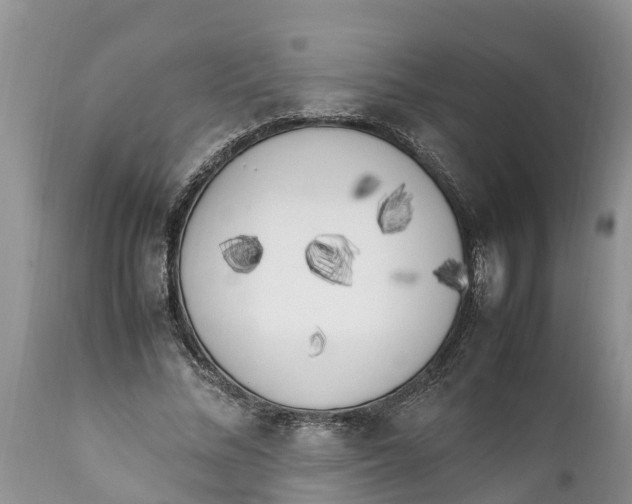 X0000111920684200908171325