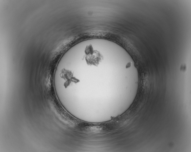 X0000111920692200908171325