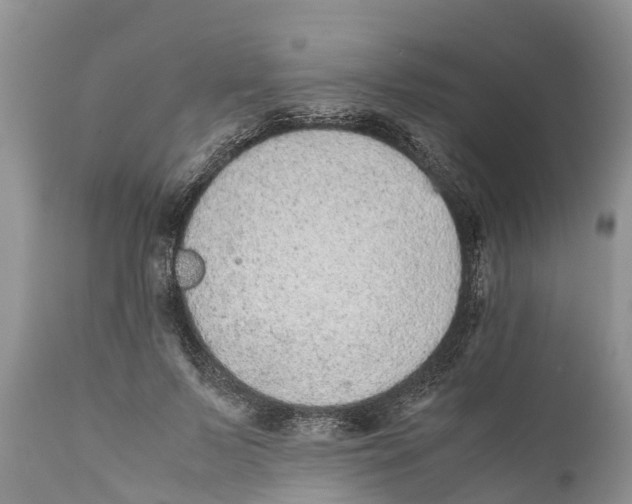 X0000111920695200908171324