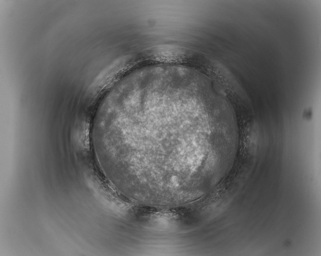 X0000111920696200908171324