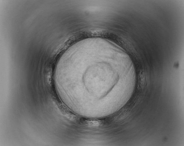 X0000111920698200908171324