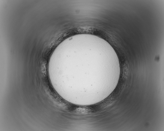 X0000111920699200908171324