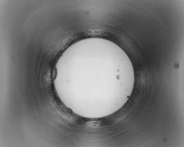 X0000111920700200908171324