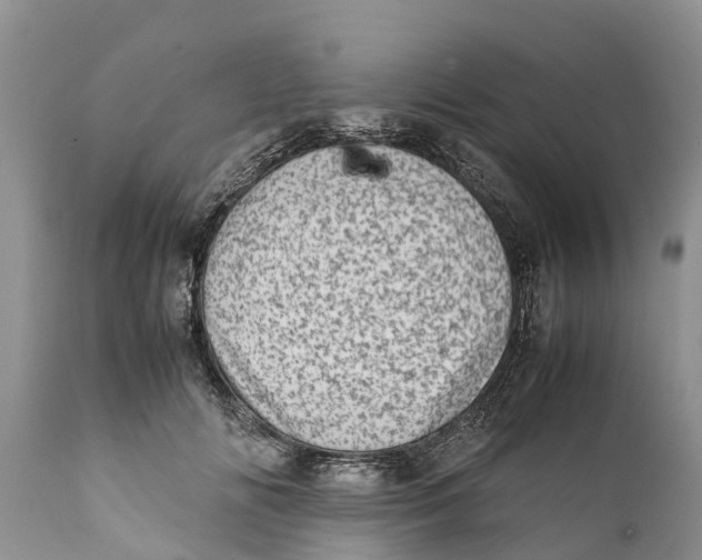 X0000111920702200908171324