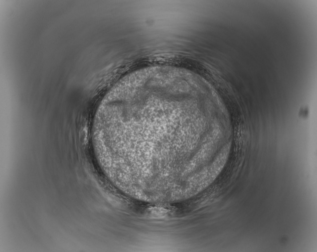 X0000111920703200908171324