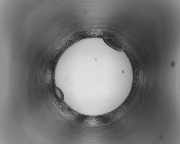 X0000111920704200908171324