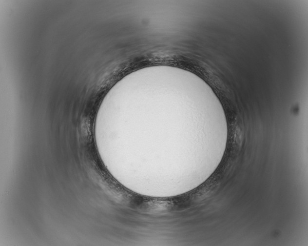 X0000111920711200908171324