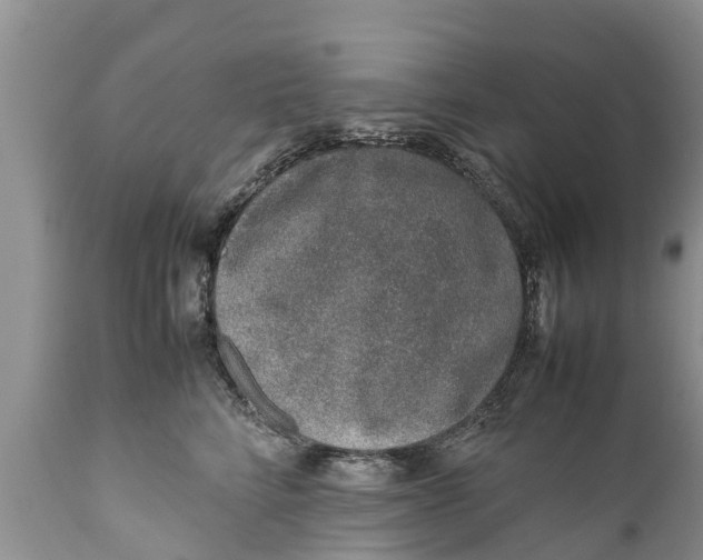 X0000111920712200908171324