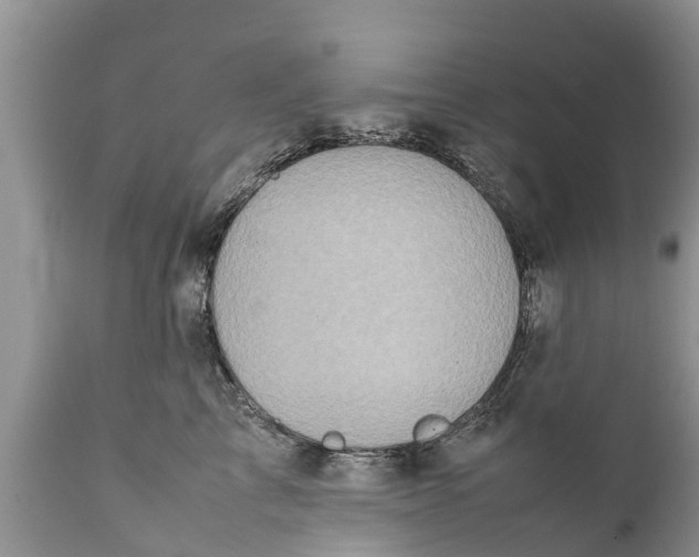 X0000111920713200908171324