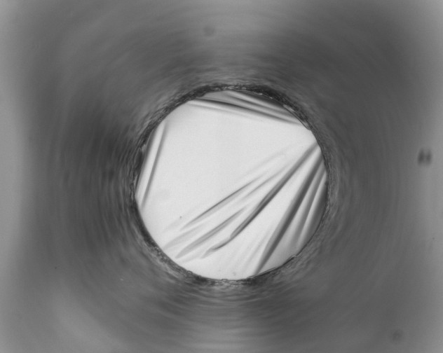 X0000111920720200908171324