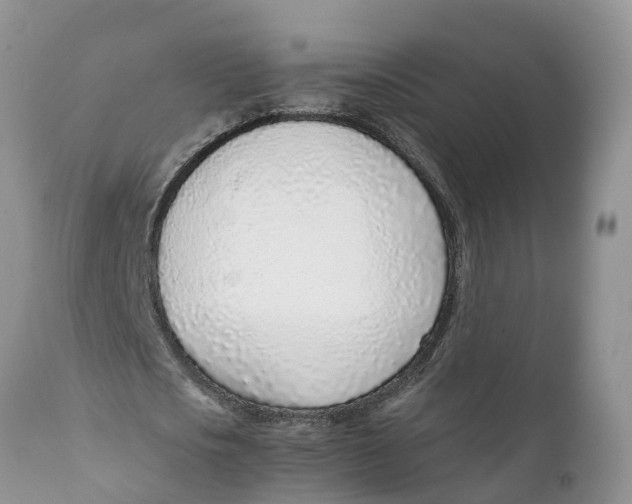 X0000111920721200908171323