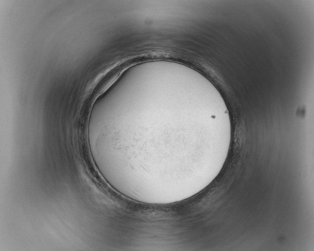 X0000111920722200908171323