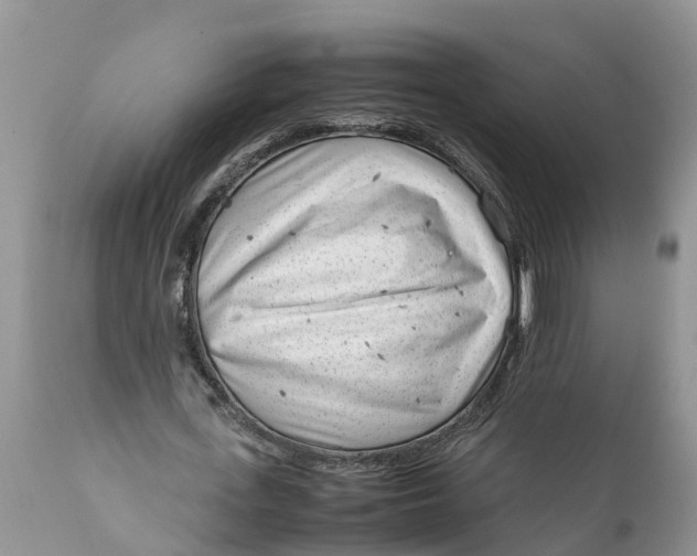 X0000111920723200908171323