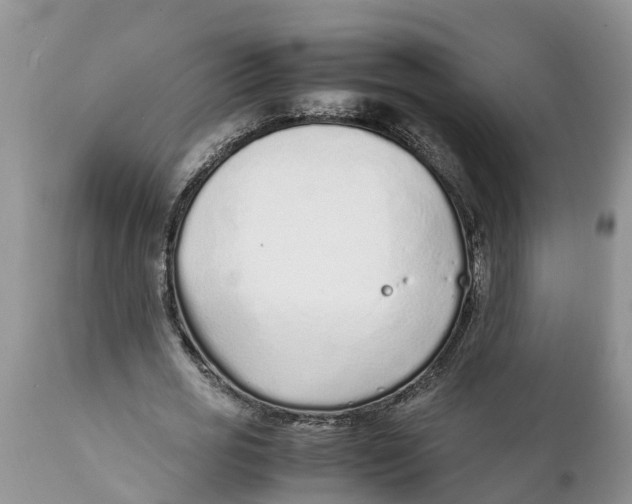 X0000111920725200908171324