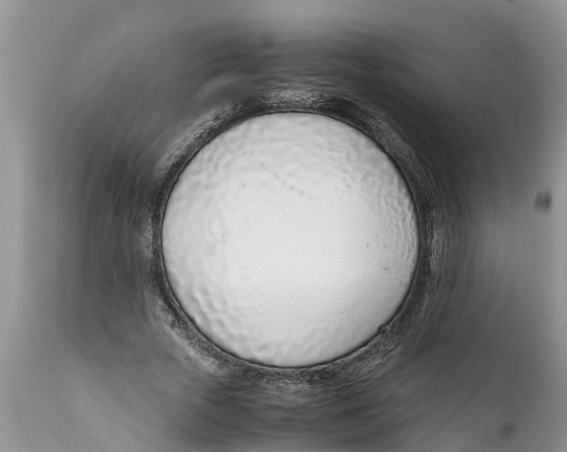 X0000111920729200908171324