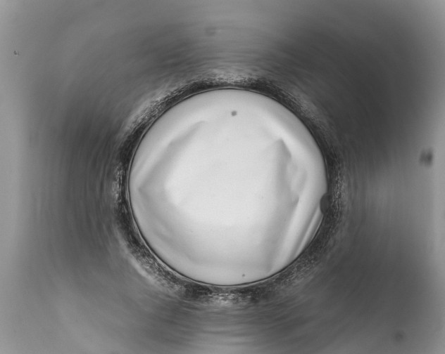 X0000111920736200908171324