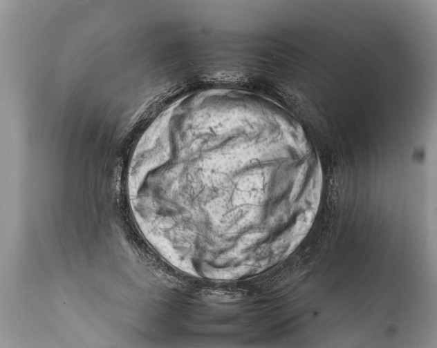 X0000111920739200908171324