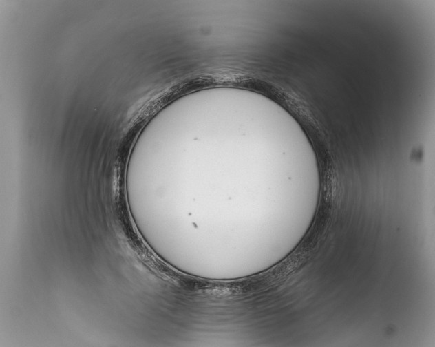 X0000111920740200908171324