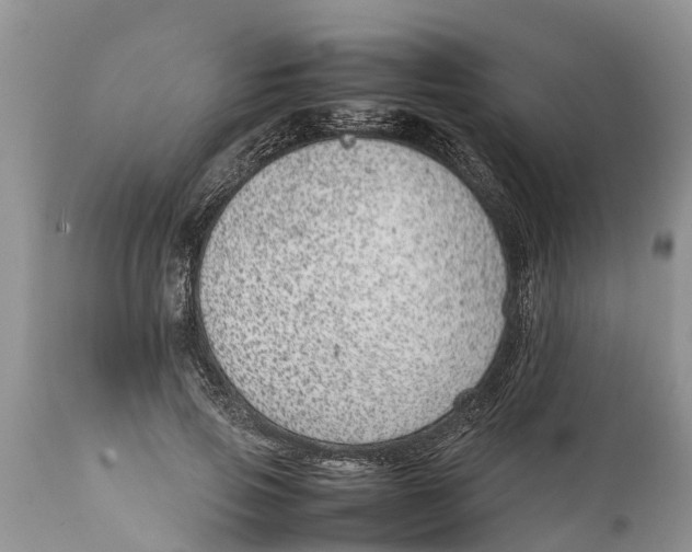 X0000111920741200908171324