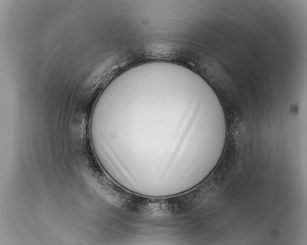 X0000111920744200908171324