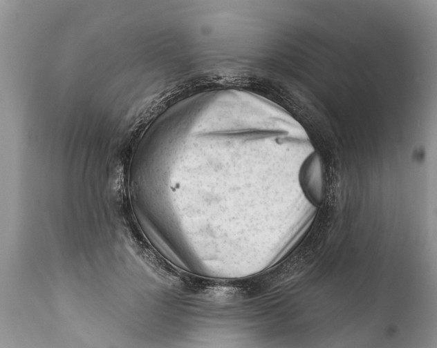 X0000111920748200908171324