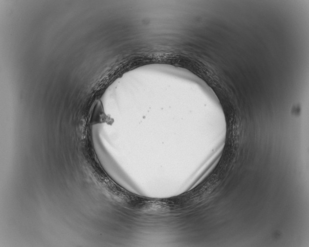 X0000111920750200908171324