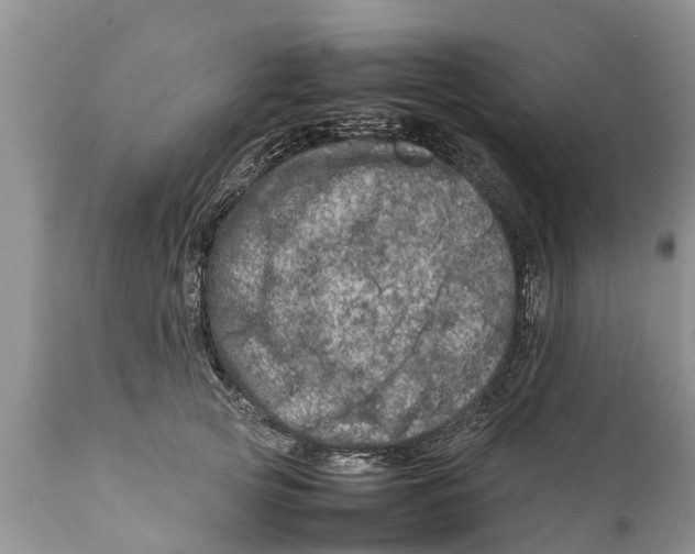 X0000111920753200908171324