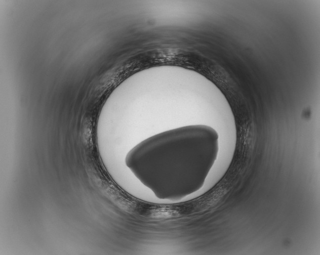 X0000111920754200908171324