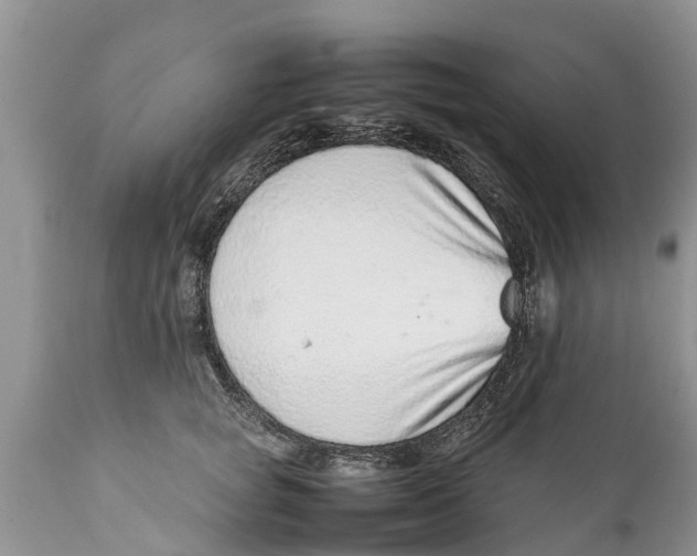 X0000111920757200908171324