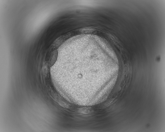 X0000111920761200908171324